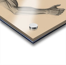 Engines Are Built Slowly — Runner Anatomy Motivation Poster Acrylic print