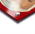 John McKay 1970s USC Trojans Football Art Acrylic print