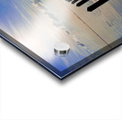 IMG 3214 3 Acrylic print