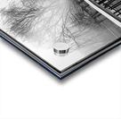 Misty Morn Acrylic print