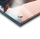 Artistic Horse Hi Res   A3 Acrylic print