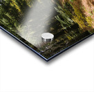 wall art Acrylic print