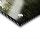 wall art Acrylic print