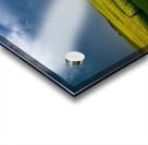 Rainbow Over Canola Hi Res   A3 Acrylic print