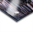 Life Finds a Way Hi Res   A3 Acrylic print