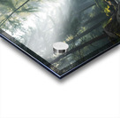 Peaceful Forest Stream – Crystal Clear River Flowing Through a Lush Green Woodland Acrylic print