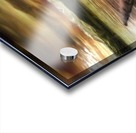 Lemuels Lake Acrylic print