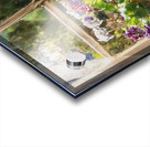 Geraniums Keep the Outside In Acrylic print