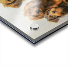 Four Fast Friends Acrylic print