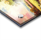 Muddy Creek Acrylic print