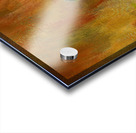 North American Robin portrait Acrylic print