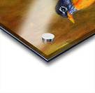 Portrait of a North American Robin Acrylic print