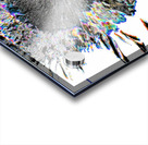 Monochrome Smeared Sunflower Head  Acrylic print