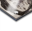 20251009 201505 Yang Yin Yang Acrylic print