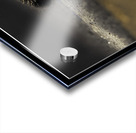 Catepillar Crossing Acrylic print