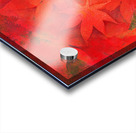 Maple on fire haiku Acrylic print