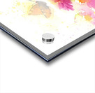 Butterfly and pink Zinnias watercolor painting Acrylic print