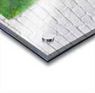 Looking up into the treetops handmade watercolor Acrylic print