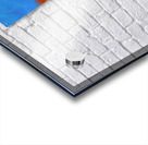 Long haired dachshund portrait acrylic painting Acrylic print