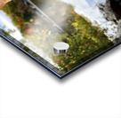 Striking a Cat-ivating Pose  Acrylic print