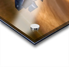 Oceana Air Show F-35c Acrylic print