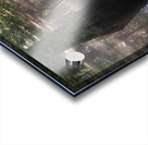 Virginia Beach State Park Luminous  Sunrise Fog Glow Acrylic print