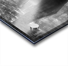 Virginia Beach Mysterious Cypress Swamp Acrylic print