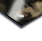 Trois baigneuses Acrylic print