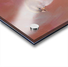 Sparrow meeting part three Acrylic print