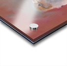 Sparrow meeting part two Acrylic print