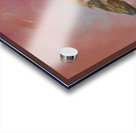 Sparrow meeting part one Acrylic print