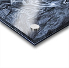 ArtXcl 44 horse portrait paint style Acrylic print