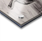  Oct 17 2025 at 8 40 24 PM Acrylic print