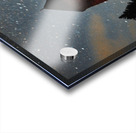 Astronight Astrophotography Acrylic print