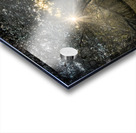 Twisted Live Oak Tree Forest Sunbeams Acrylic print