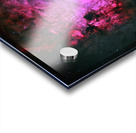 Astronight Astrophotography 8 Acrylic print