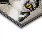 Serious Cat Oct 22 2025 at 2 08 41 PM Acrylic print