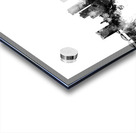 Fort Worth Texas Skyline Acrylic print