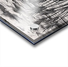 Sea Grass with Turtle at Sunset Oct 23 2025 at 1 25 12 PM Acrylic print