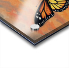 Sunset Butterfly Beauty 2025 at 9 54 18 PM Acrylic print