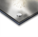 Virginia Beach Lonely Sand Dune Tree Acrylic print