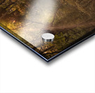 Virginia Cypress Forest Reflections Acrylic print