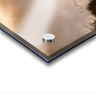 Sandy Path Through the Dunes Acrylic print