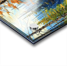 Probably Algonquin Park  Acrylic print