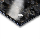 The Proposal Acrylic print