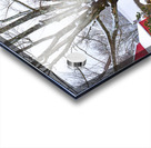 00Cover-Bussa Orchards in Winter Acrylic print