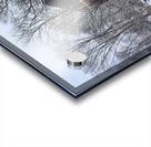 12Dec Welles Shipman Ward Acrylic print