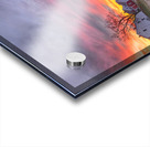 03Mar Tryon Street Acrylic print