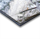 02Feb Cotton Hollow Acrylic print