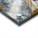 11Nov Hi Gate Farms Acrylic print